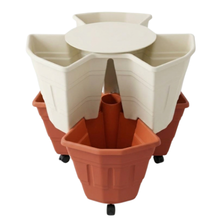 Ivory and Terracotta